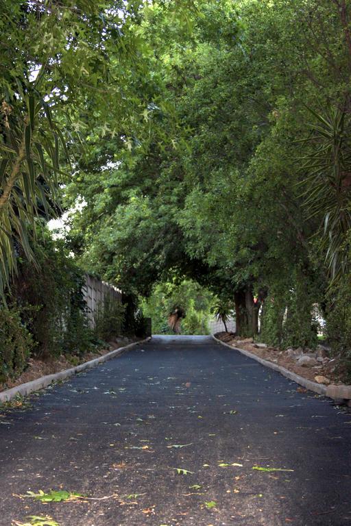 Vanilla Guesthouse Johannesburg Ngoại thất bức ảnh